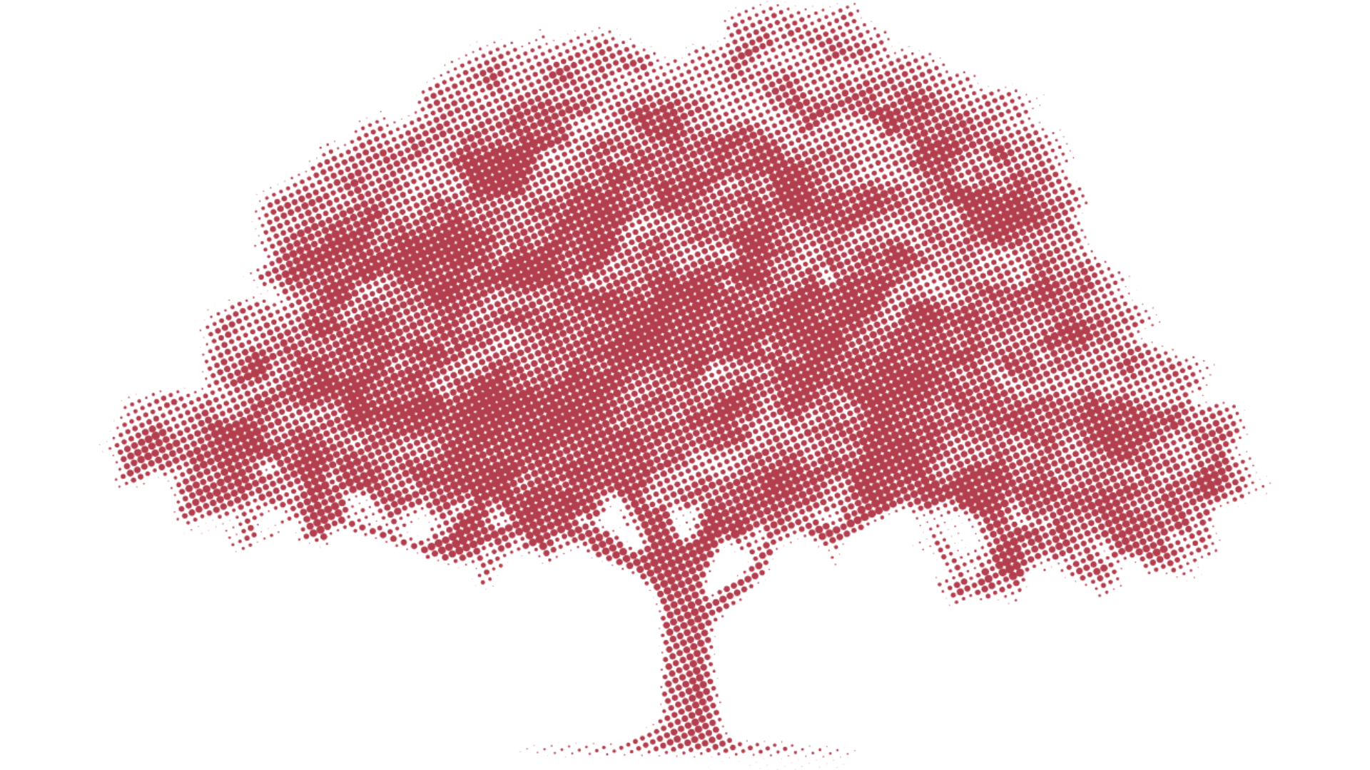 Oepfelbaum — Verwurzelt in Technologie und Beratung
